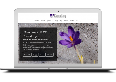 VIP Consulting